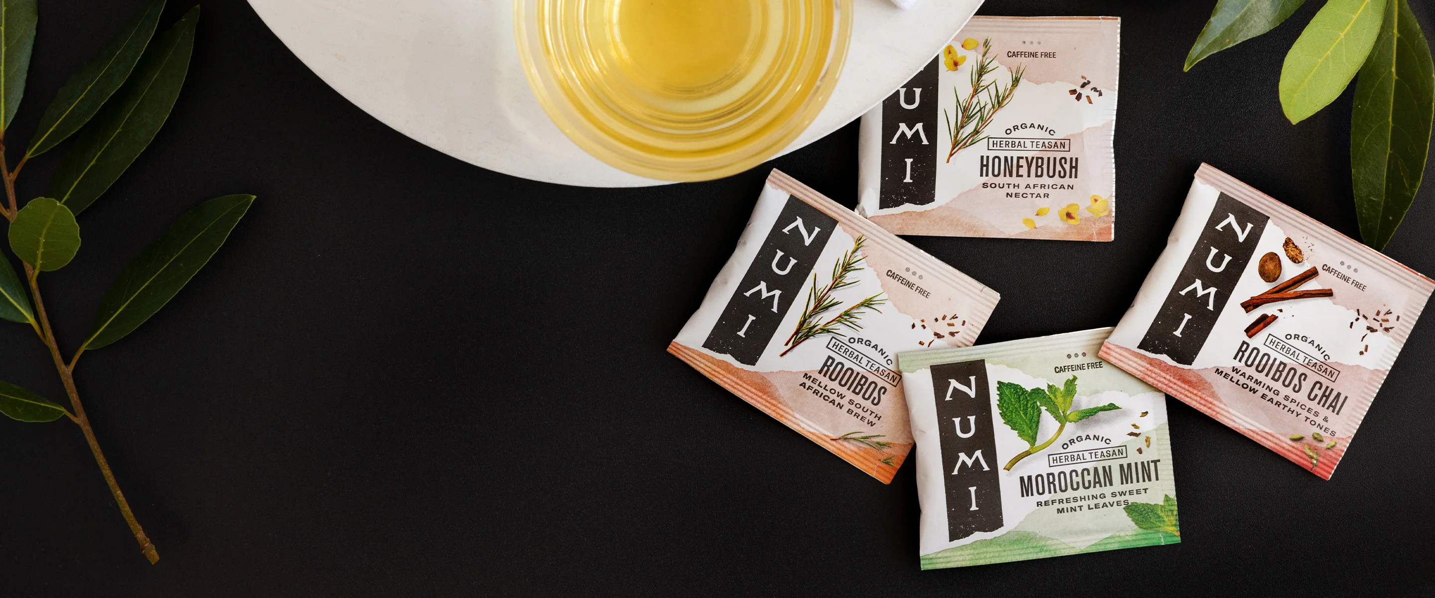 Pure Artistry in Every Sip